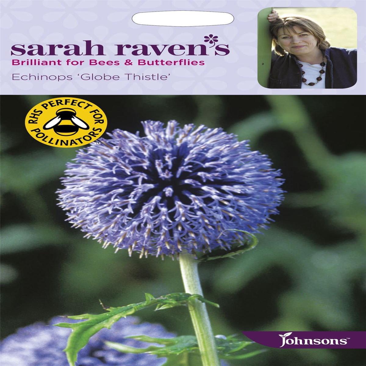 Johnsons Sarah Raven's Echinops Globe Thistle 50 Seeds