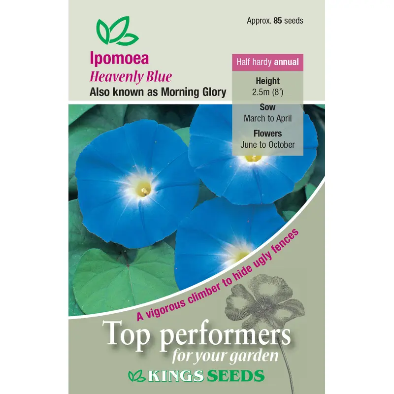 Kings Seeds Ipomoea Heavenly Blue 85 Seeds