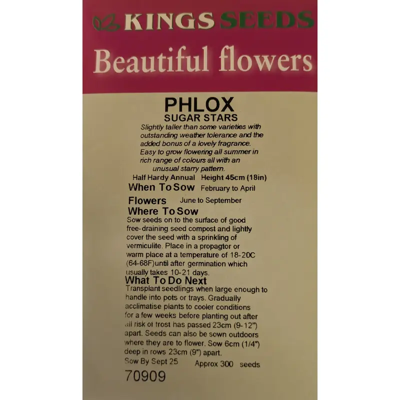 Kings Seeds Phlox Sugar Stars 300 Seed