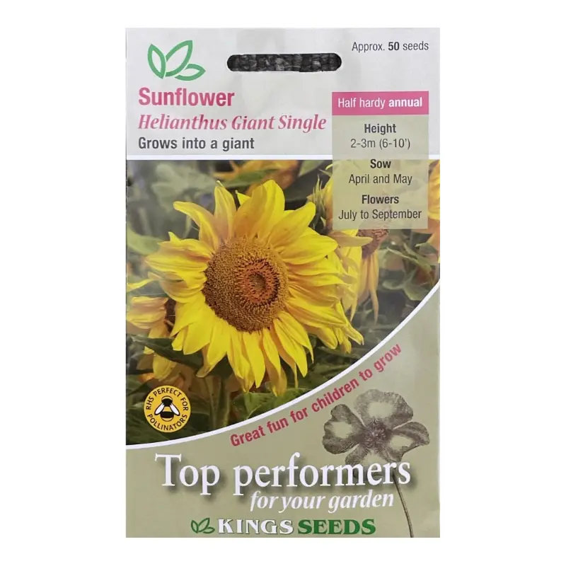 Kings Seeds Sunflower Giant Single 50 Seeds