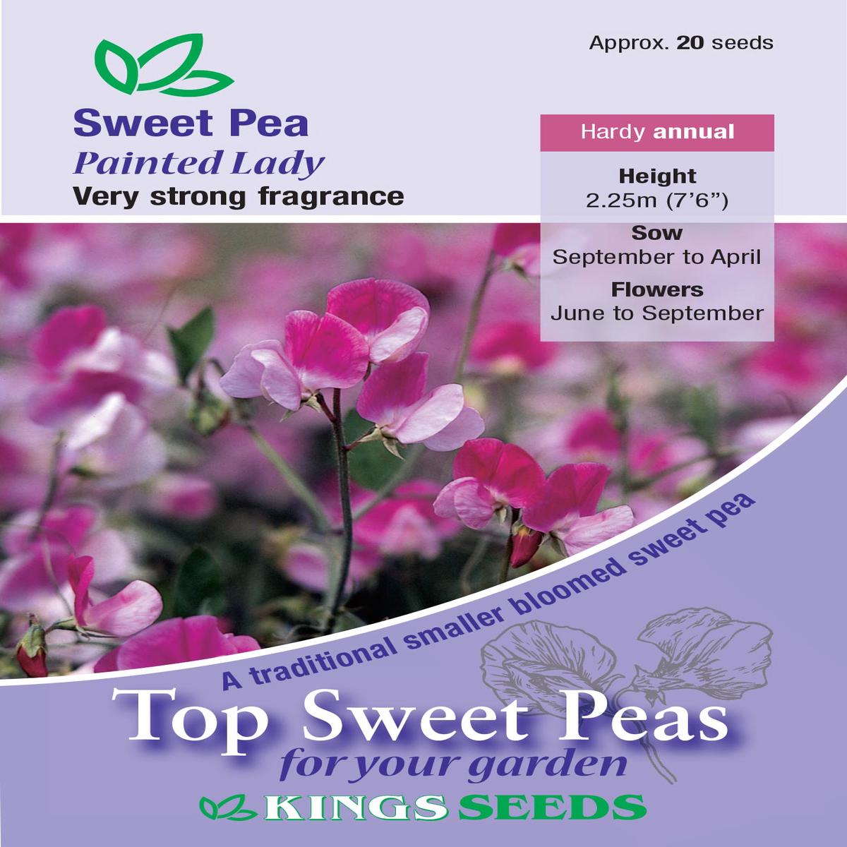 Kings Seeds Sweet Pea Painted Lady 20 Seeds