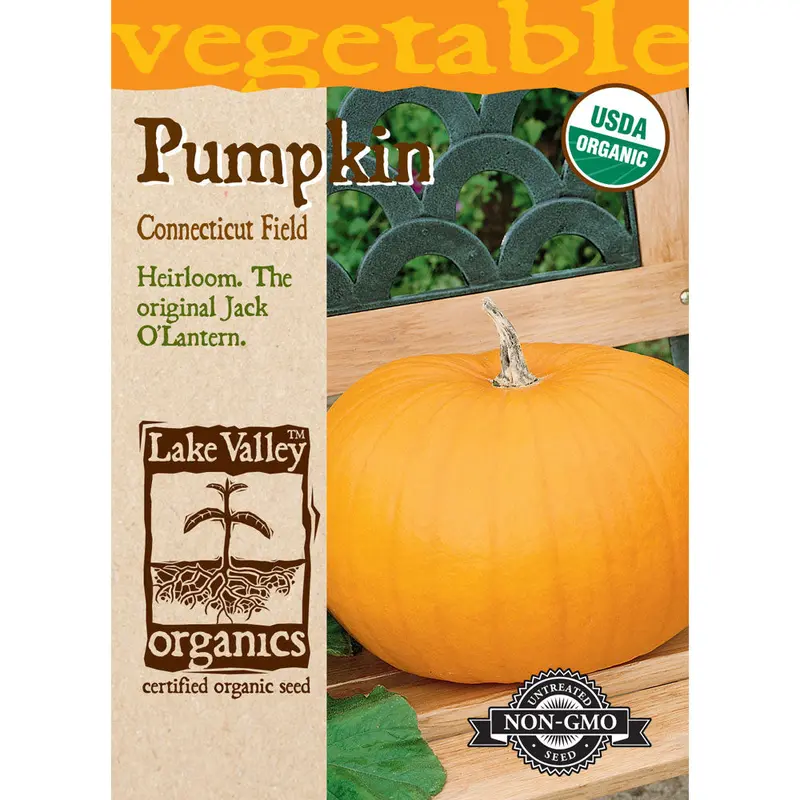 Lake Valley, Pumpkin, Connecticut Field Organic