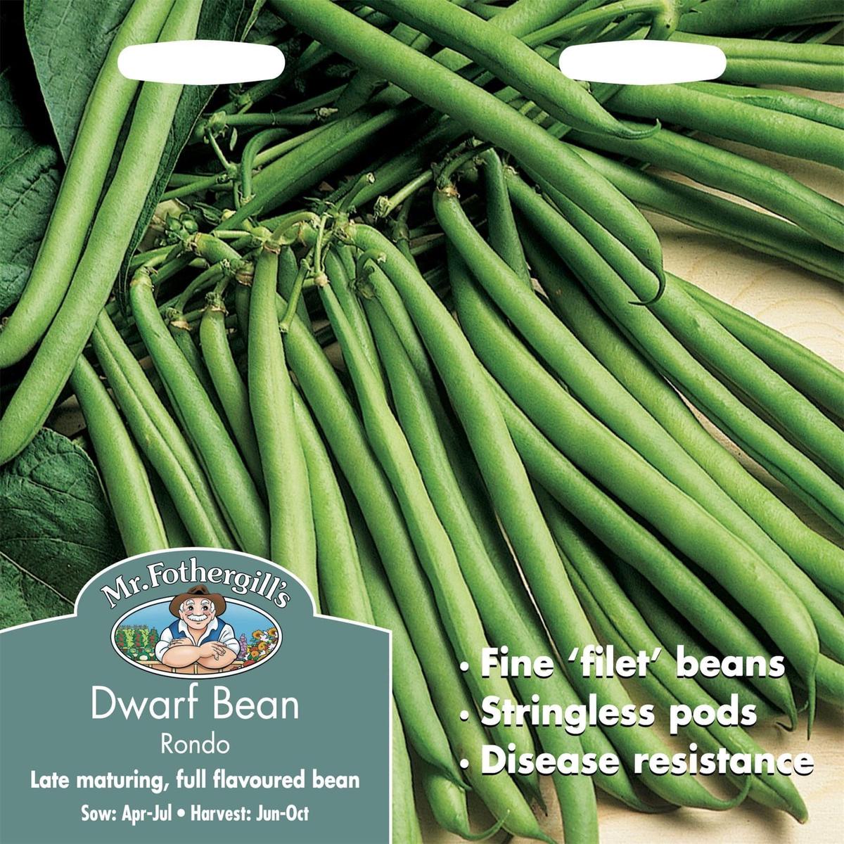 Mr Fothergills Dwarf Bean Rondo 100 Seeds