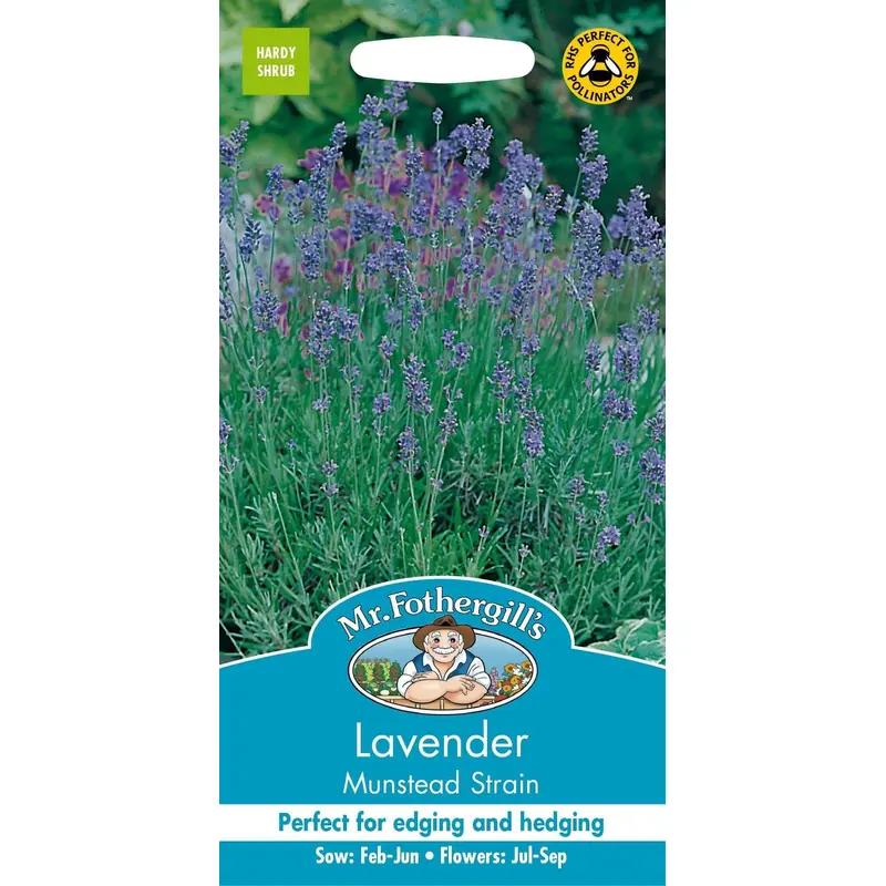 Mr Fothergills Lavender Munstead Strain 150 Seeds
