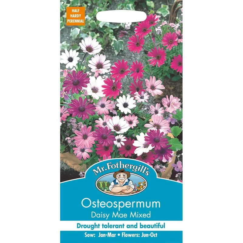 Mr Fothergills Osteospermum Daisy Mae Mixed 25 Seeds
