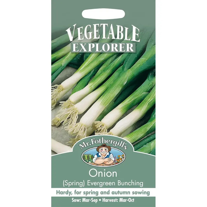Mr Fothergills Spring Onion Evergreen Bunching 350 Seeds