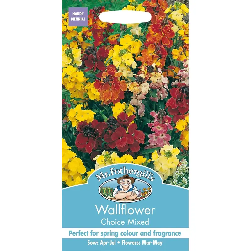 Mr Fothergills Wallflower Choice Mixed 500 Seeds