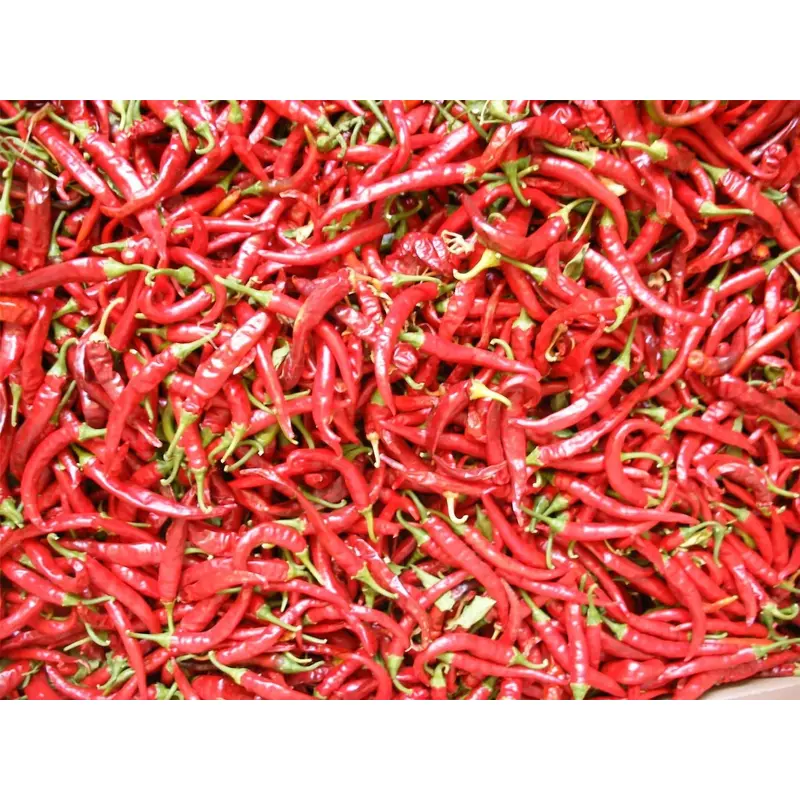 Organic Pepper (Chilli) Ring of Fire Seeds