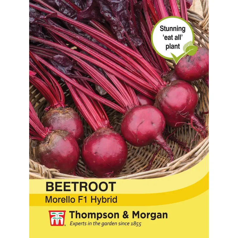 Thompson & Morgan - Vegetable - Beetroot - Morello - 150 Seeds