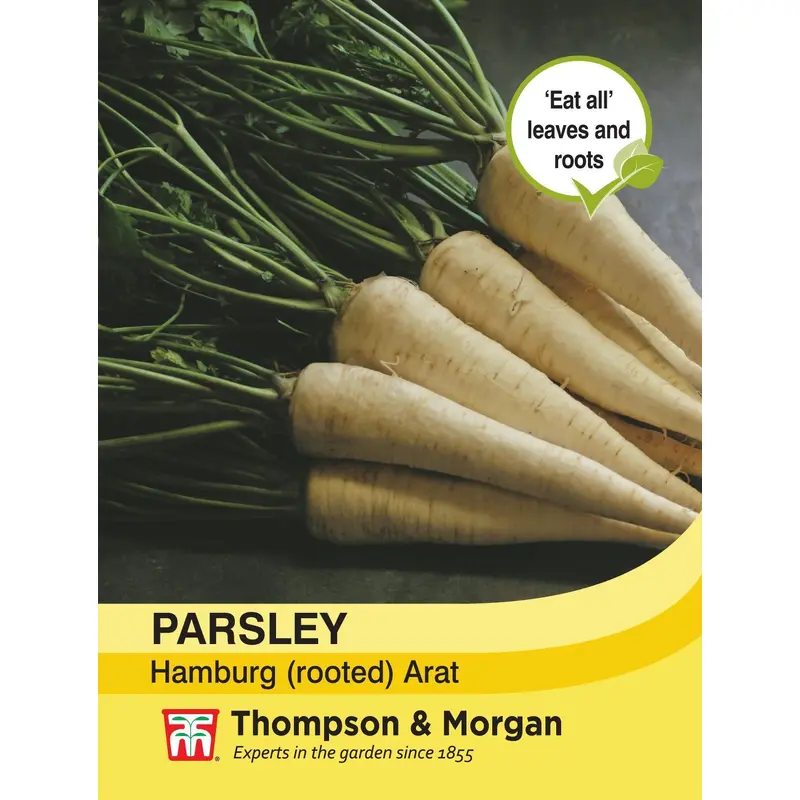 Thompson & Morgan - Vegetable - Parsley Hamburg - Arat - 200 Seeds