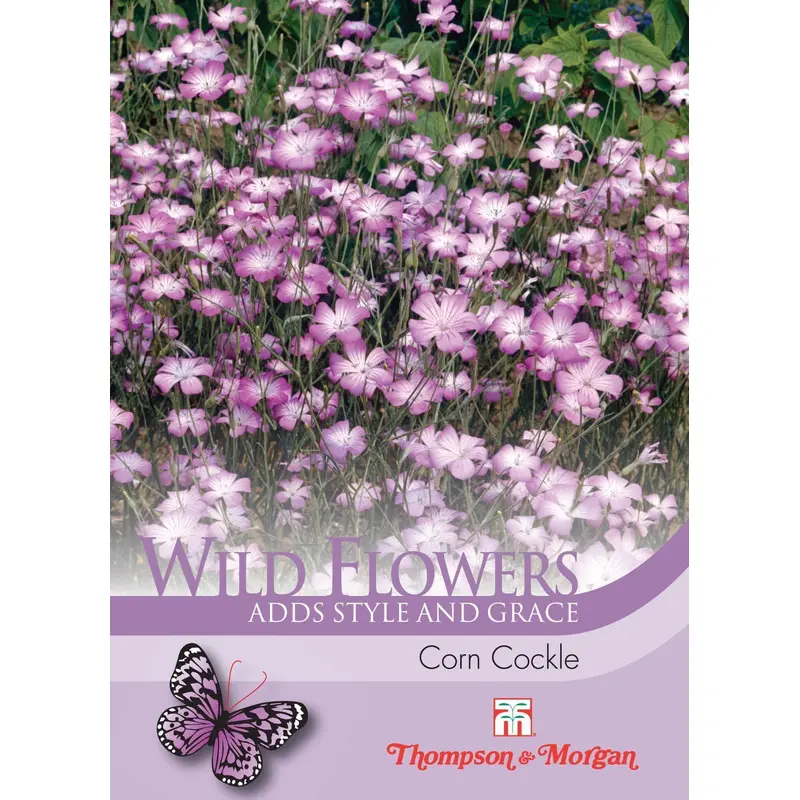 Thompson & Morgan Wild Flower Corn Cockle 80 Seed