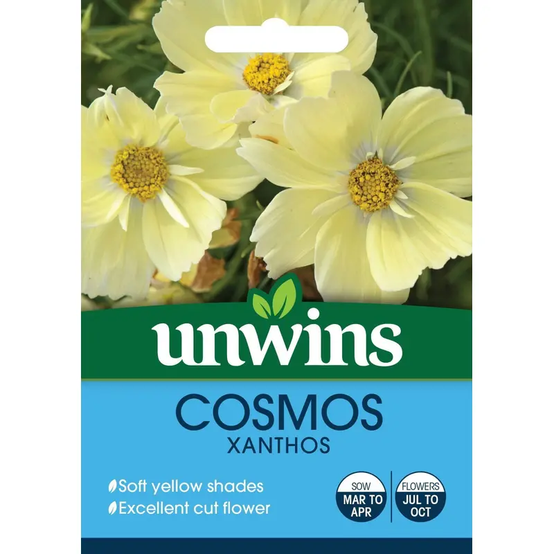 Unwins Cosmos Xanthos Lemon Sherbet 20 Seeds