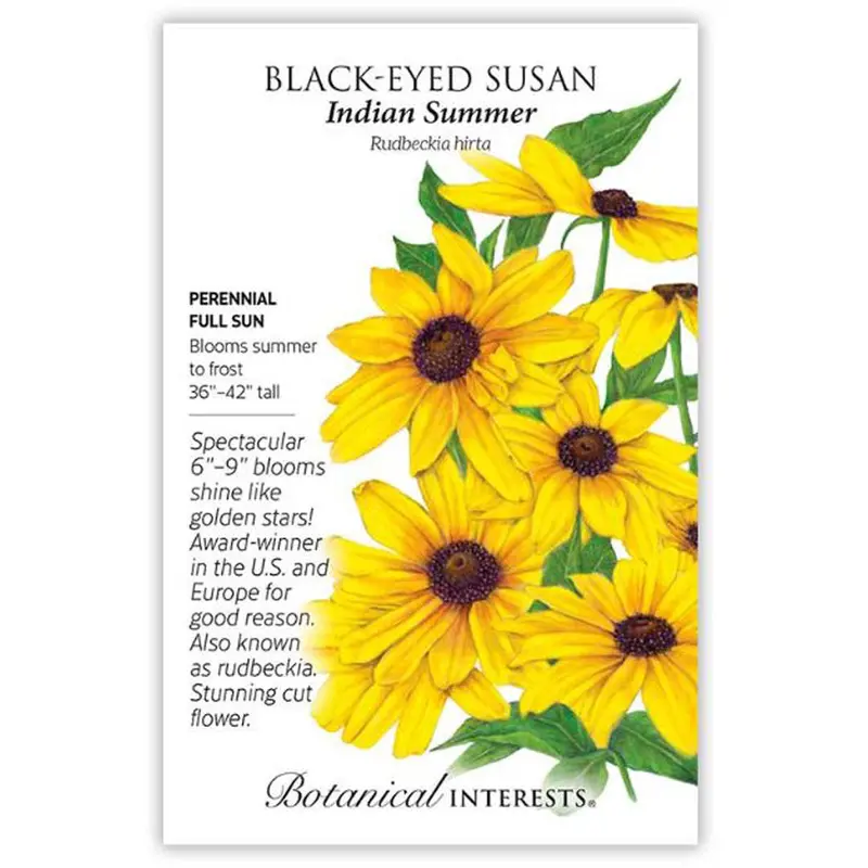 Botanical Interests, Rudbeckia Indian Summer