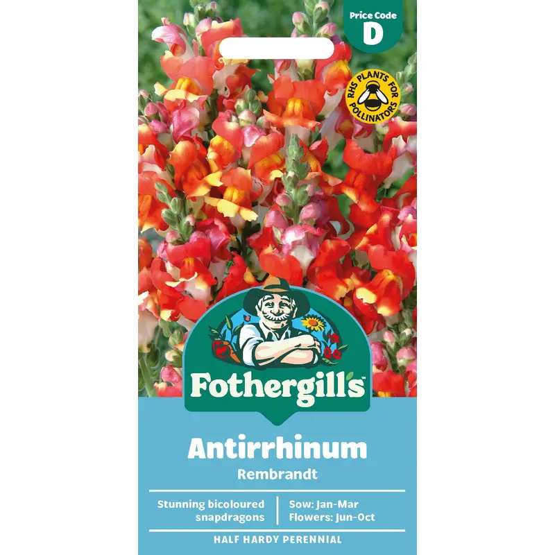 Fothergills Antirrhinum Rembrandt Seeds