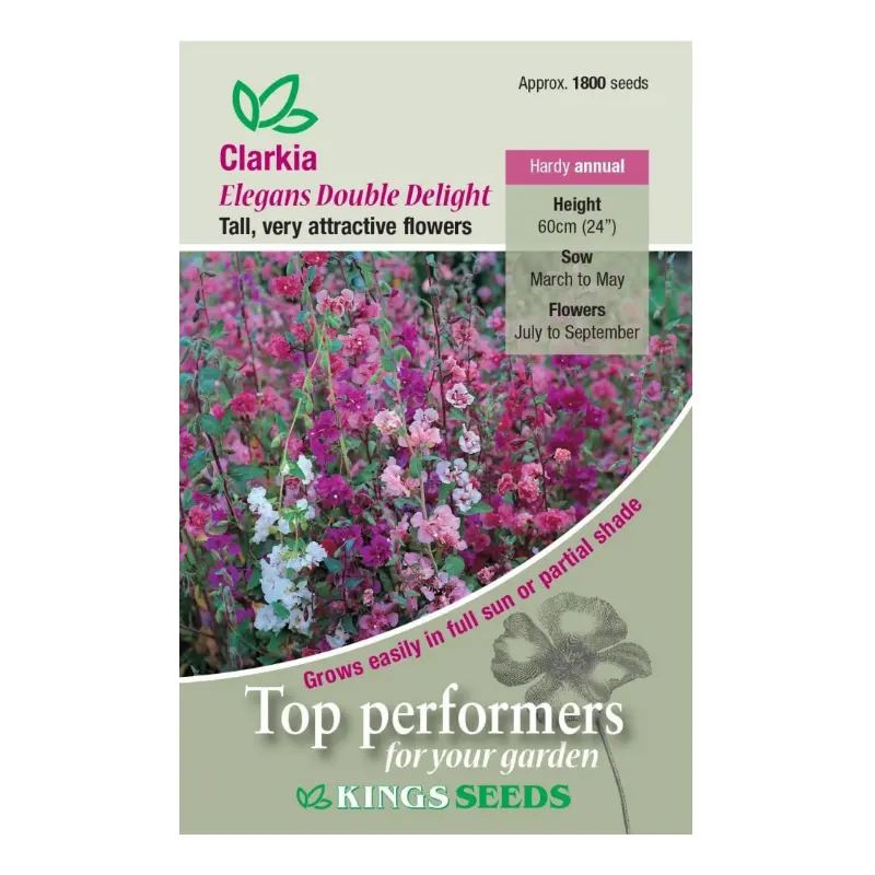 Kings Seeds Clarkia Elegans Double Delight 1800 Seeds
