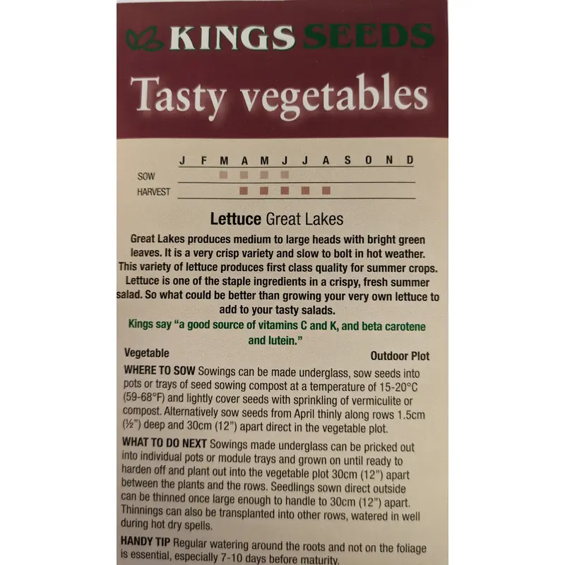 Kings Seeds Lettuce Great Lakes 1400 Seeds