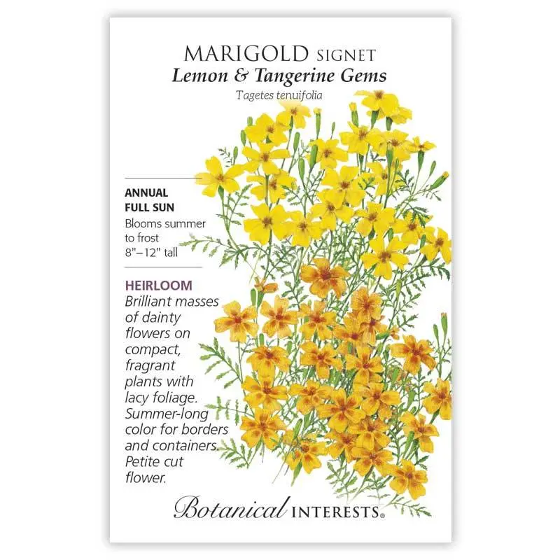 Marigold, Botanical Interests Lemon & Tangerine Gems Signet Seeds (Heirloom)