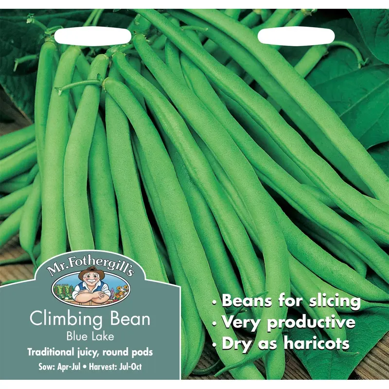 Mr Fothergills Climbing Bean Blue Lake 100 Seeds