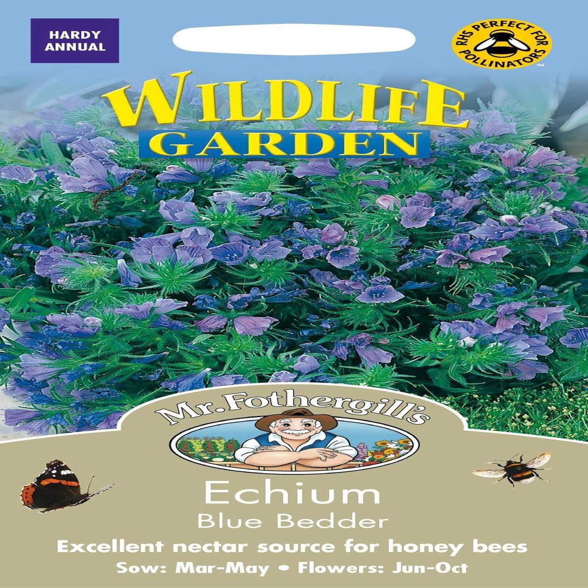 Mr Fothergills Echium Blue Bedder 200 Seeds