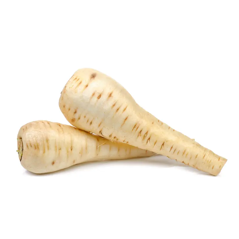 Parsnip Tender and True Seeds