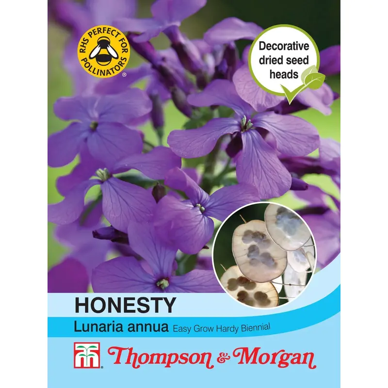 Thompson & Morgan Honesty (Lunaria Or Silver Dollar) 50 Seed