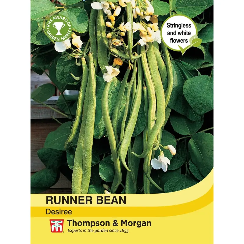 Thompson & Morgan Runner Bean Desiree 35 Seed