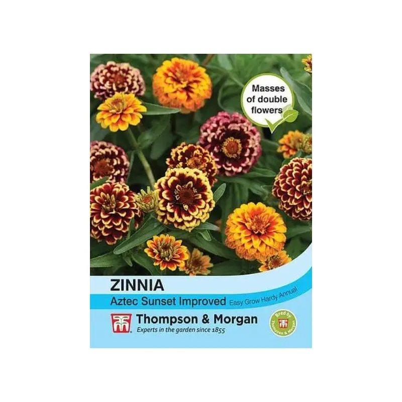 Thompson & Morgan Zinnia Aztec Sunset Improved 20 seed