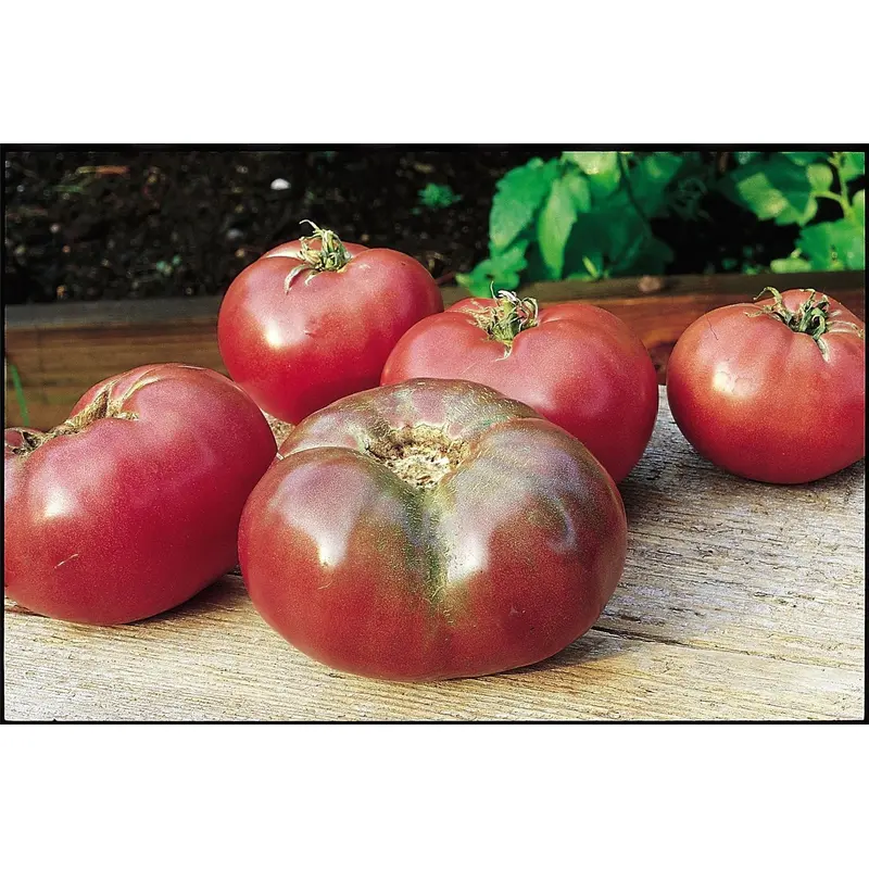 Tomato Cherokee Purple Seeds