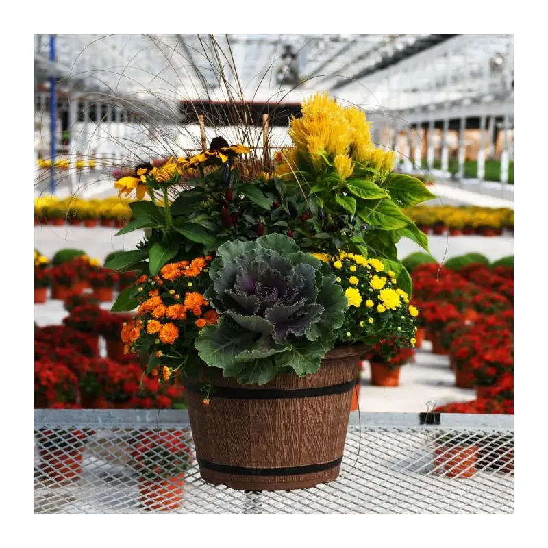 12" Festive Fall Combo Patio Pot