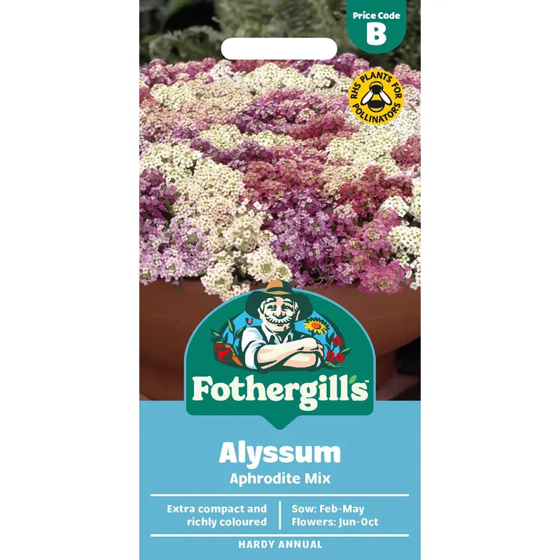 Fothergills Alyssum Aphrodite Mix Seeds