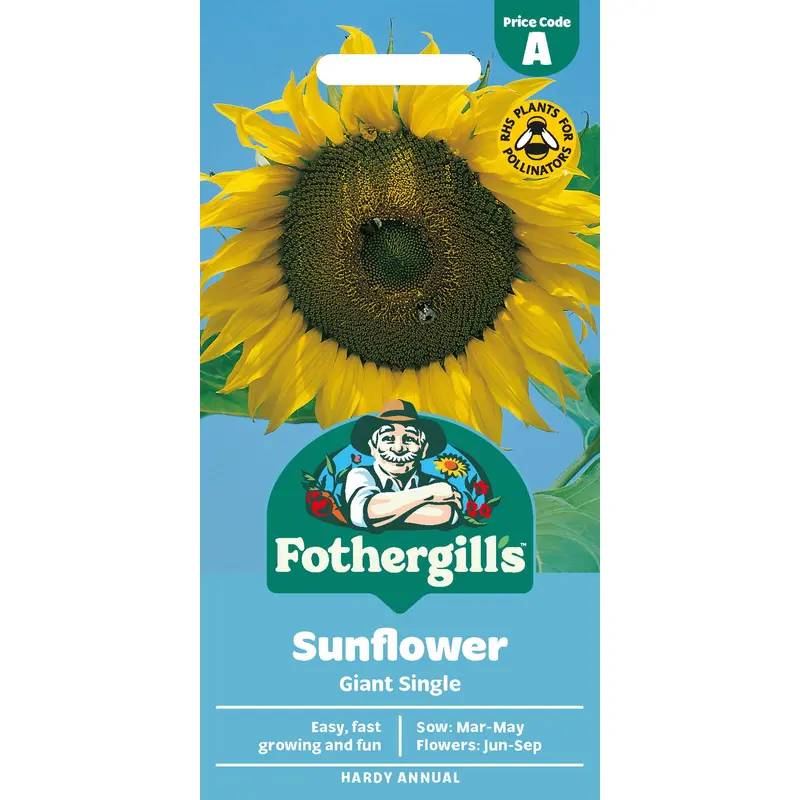 Fothergills Sunflower Giant Single Seeds