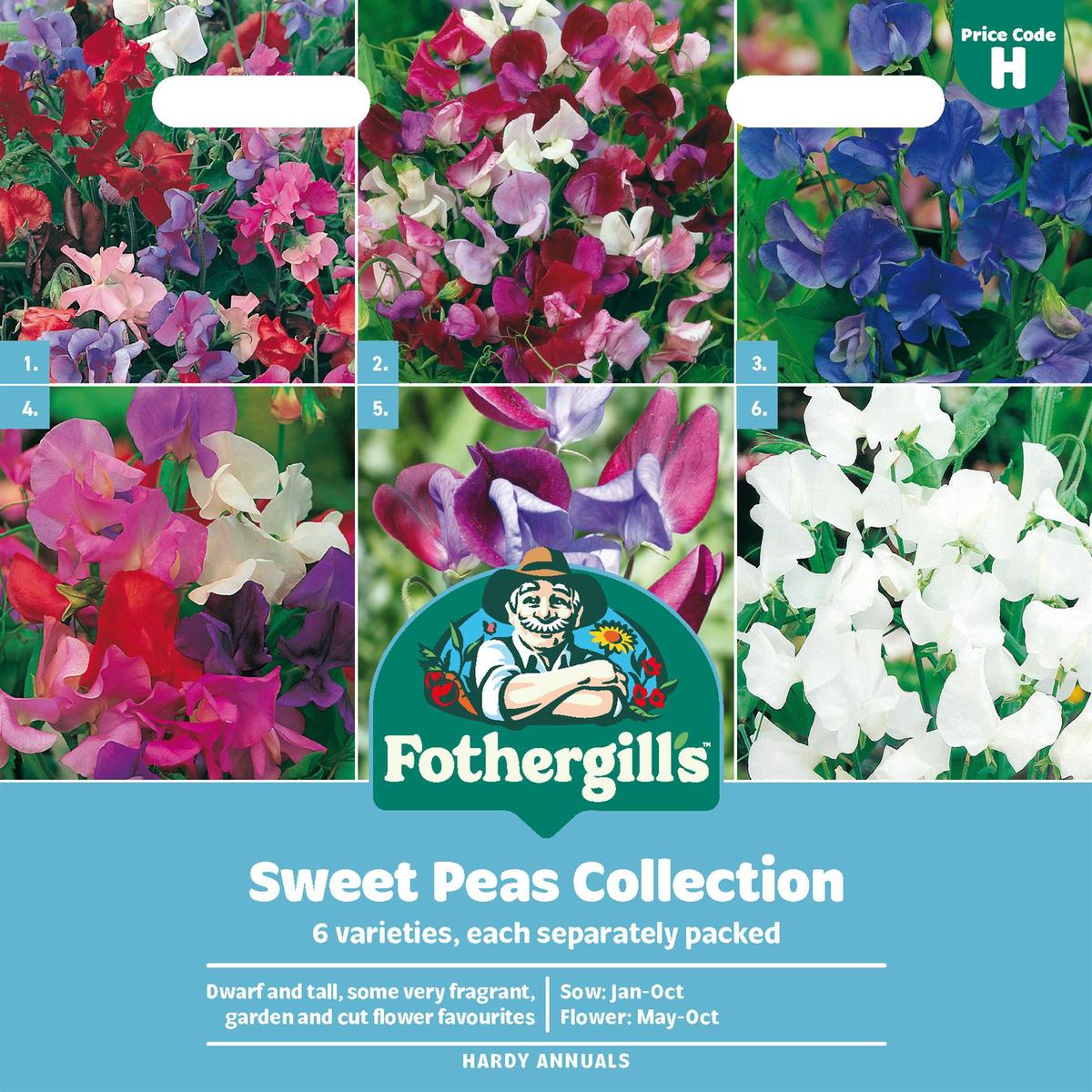 Fothergills Sweet Peas Collection Seeds