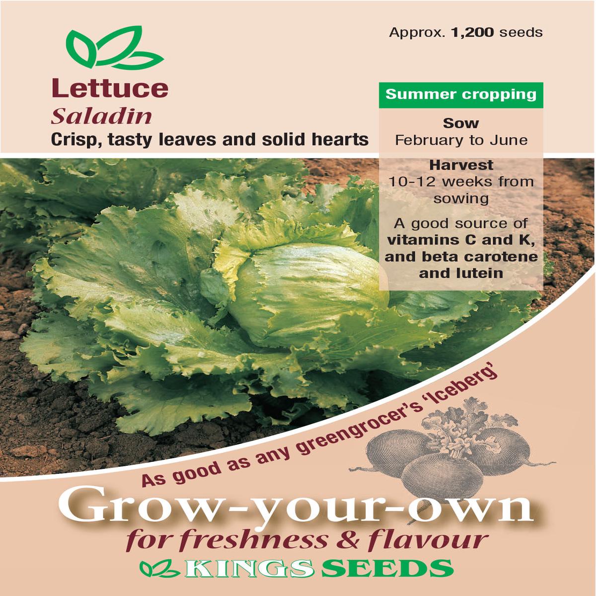Kings Seeds Lettuce Saladin 1200 Seeds - Reduced due to short date