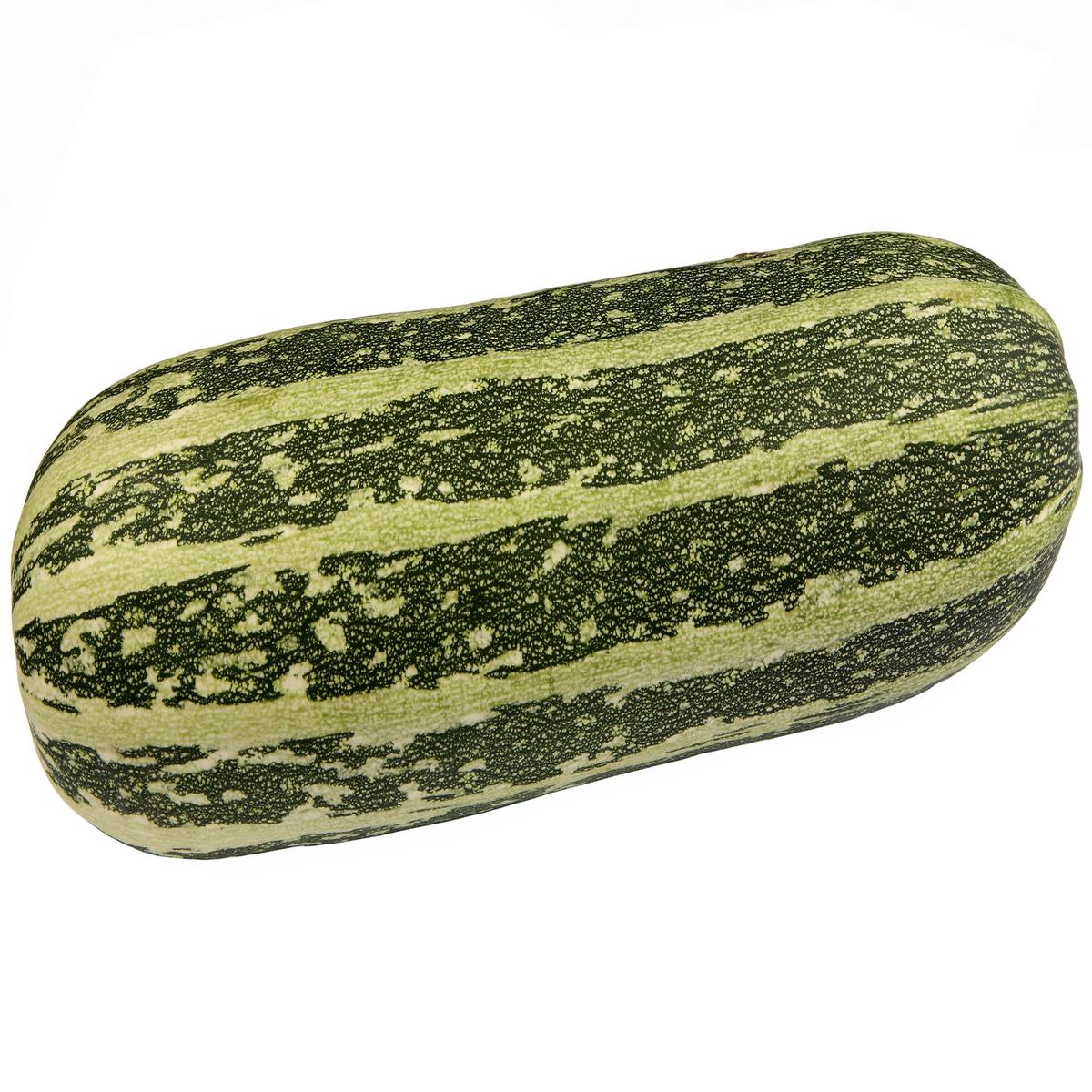 Kings Seeds Marrow Long Green Bush 20 Seeds