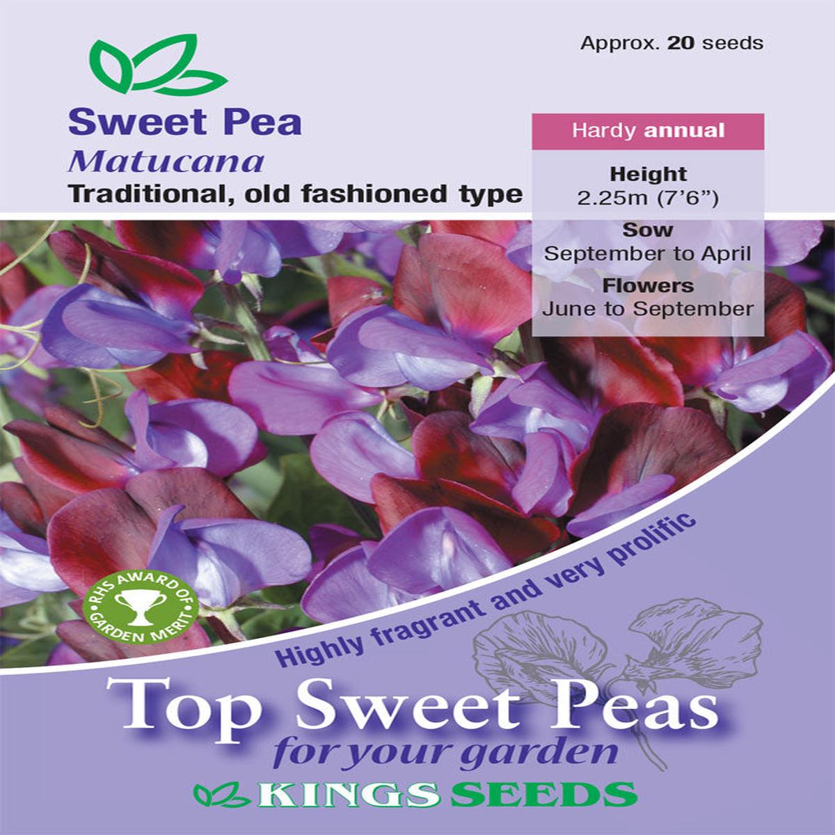 Kings Seeds Sweet Pea Matucana 20 Seeds