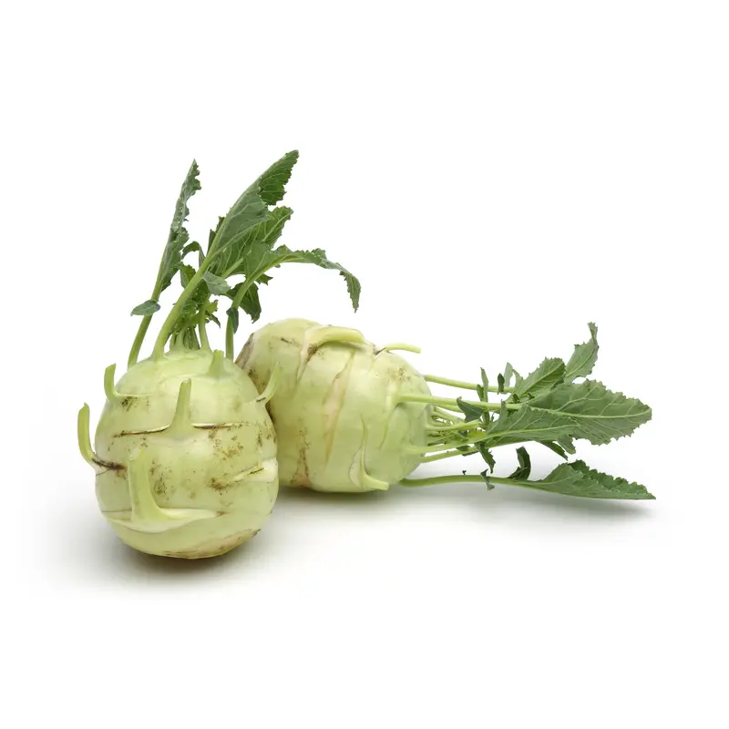 Kohl Rabi Delicacy White Seeds