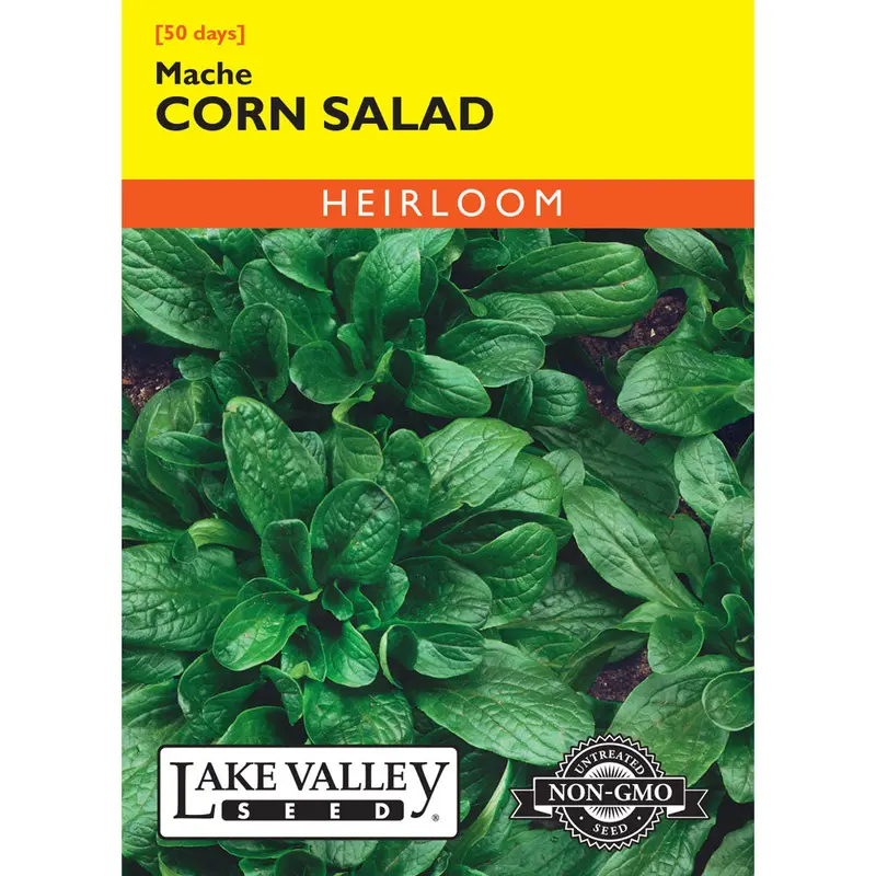 Lake Valley, Corn, Salad (Mache)