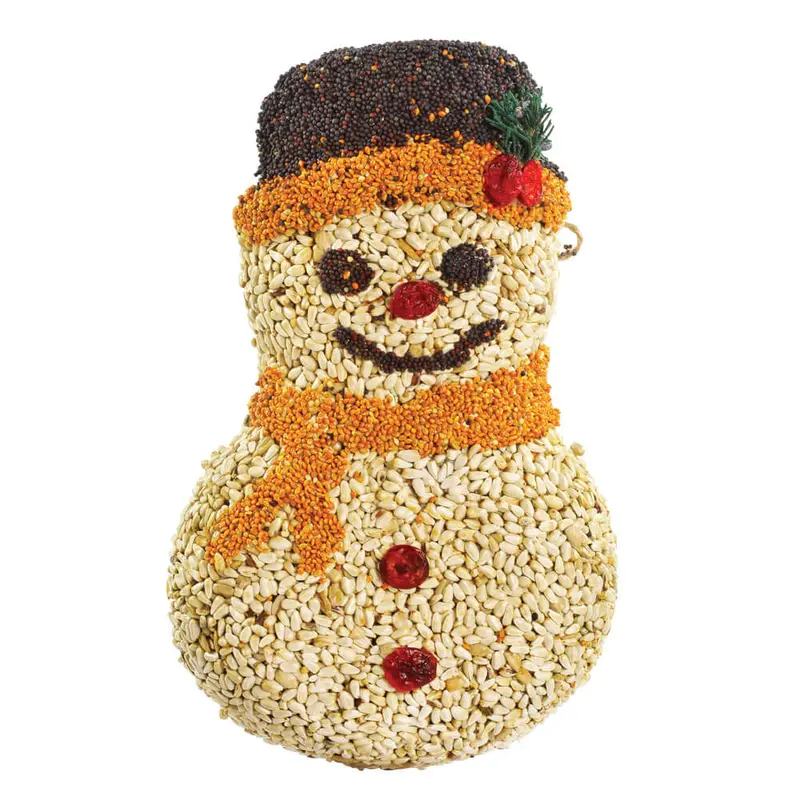 Mr. Bird, Frosty Snowman Christmas Treat