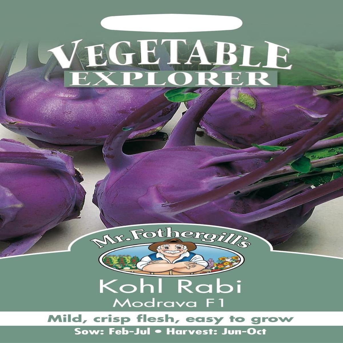 Mr Fothergills Kohl Rabi Modrava F1 75 Seeds