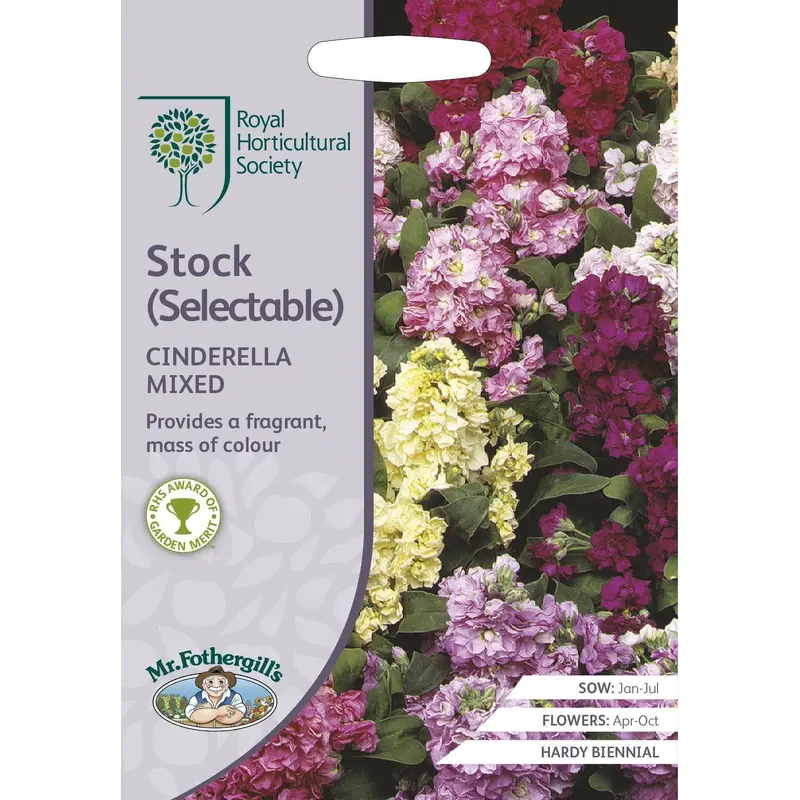 Mr Fothergills RHS Stock Cinderella Series Mixed 50 Seeds