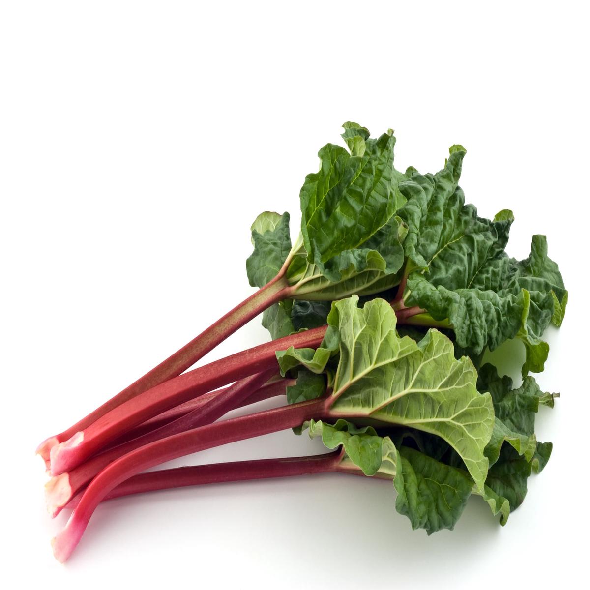 Rhubarb Glaskins Perpetual Seeds