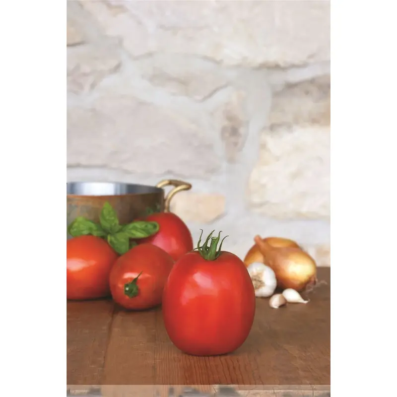 Tomato Super Sauce F1 Hybrid Seeds
