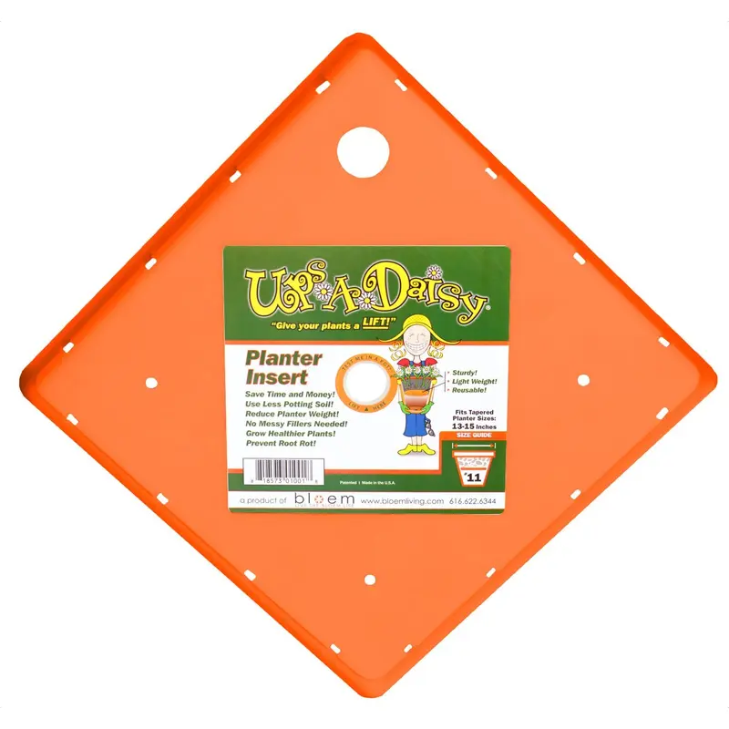 Ups-A-Daisy Square, 15"