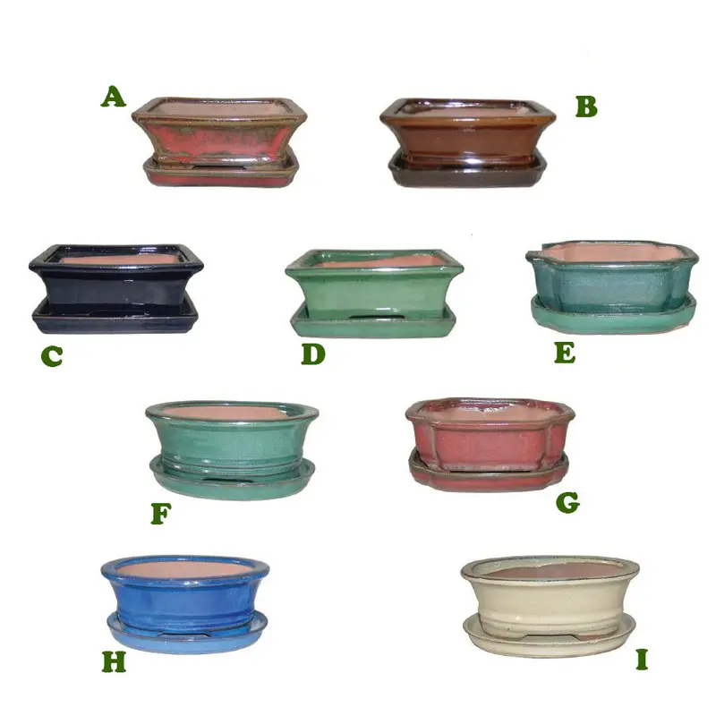 Bonsai Pot w/ Saucer, 6 1/8" x 4 1/2" x 2"