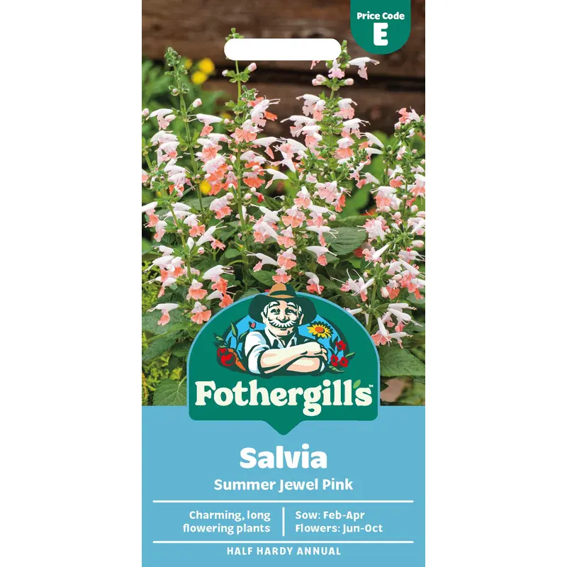 Fothergills Salvia Summer Jewel Pink Seeds