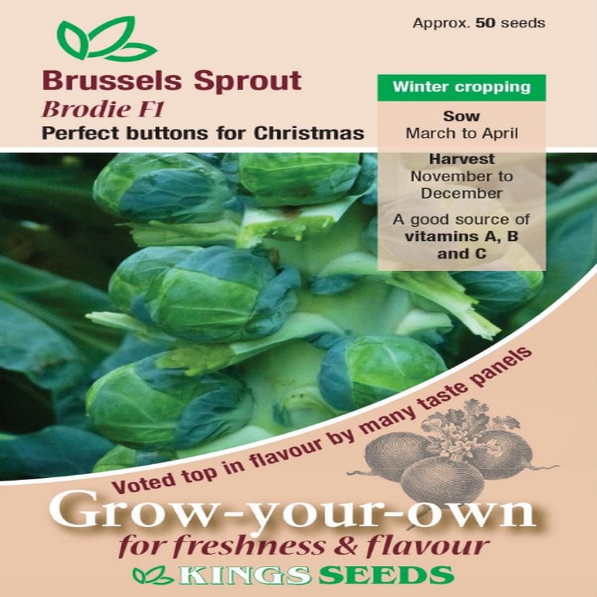 Kings Seeds Brussels Sprout Brodie F1 50 Seeds