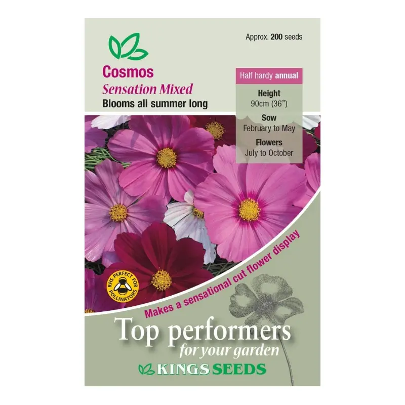 Kings Seeds Cosmos Sensation Mixed 200 Seeds