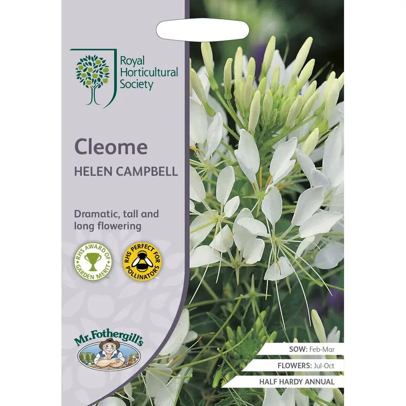 Mr Fothergills RHS Cleome Helen Campbell 250 Seeds