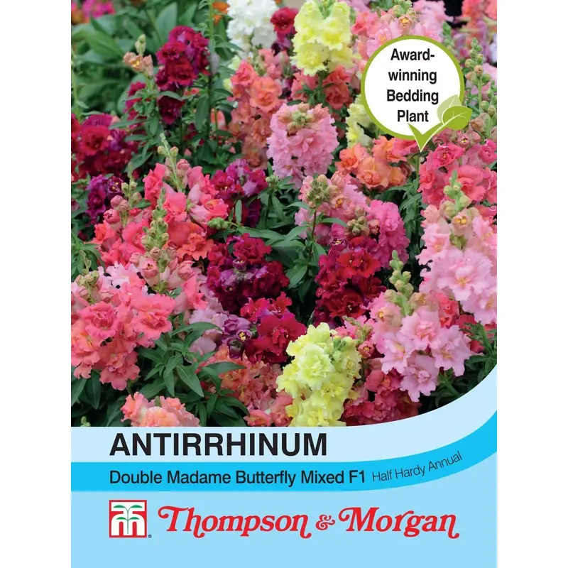 Thompson & Morgan Antirrhinum Double Madam Butterfly Mix Seed