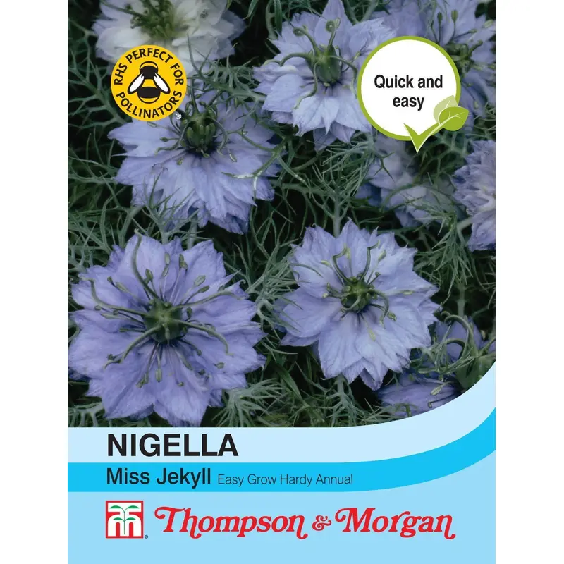 Thompson & Morgan Nigella Miss Jekyll 685 Seed